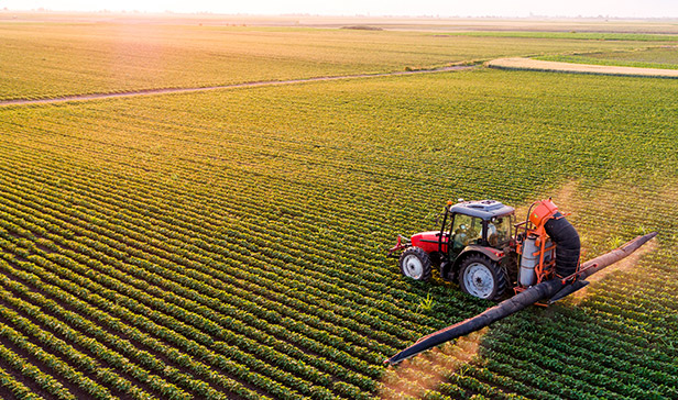 Food Industry Agrochemicals