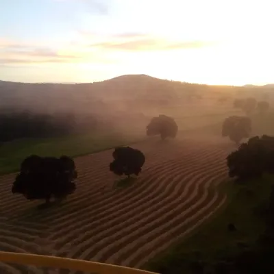 field at sunset