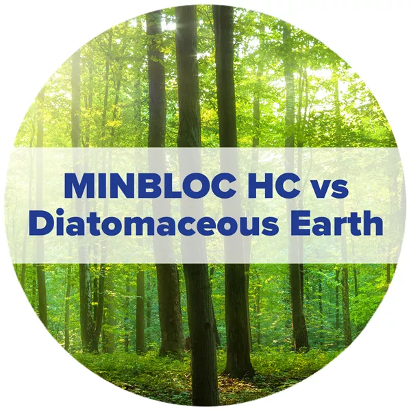 Circle Minblochc Vs De