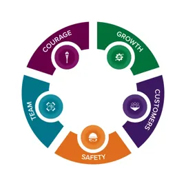 Core values graphic