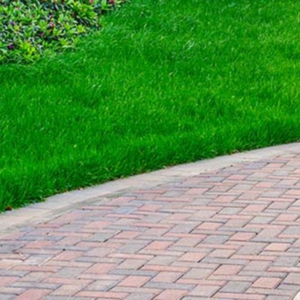 Yard with paver path using ACCEL polymeric sand to create strong bond and joint between pavers, stones, flagstones.