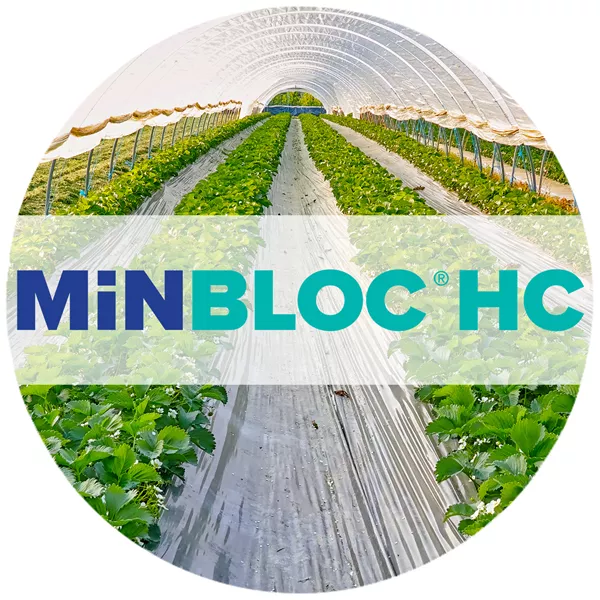 Minblochc Advantages