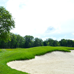 Sand and Sports — Winning Performance Goes With the Grain