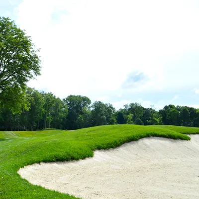 Sand and Sports — Winning Performance Goes With the Grain