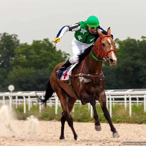 Professional jockey riding race horse on equestrian track/arena utilizing high performance BESTSAND EQ equestrian sand that has high quality, clean sand with uniform quality and firmness for secure and safe footing.