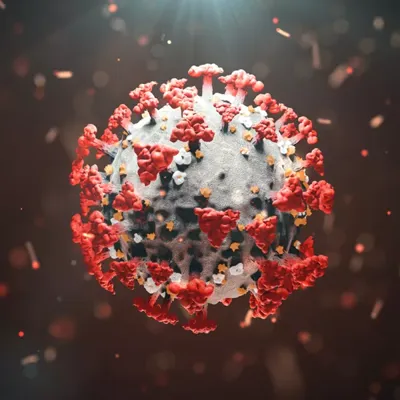 Covid Virus