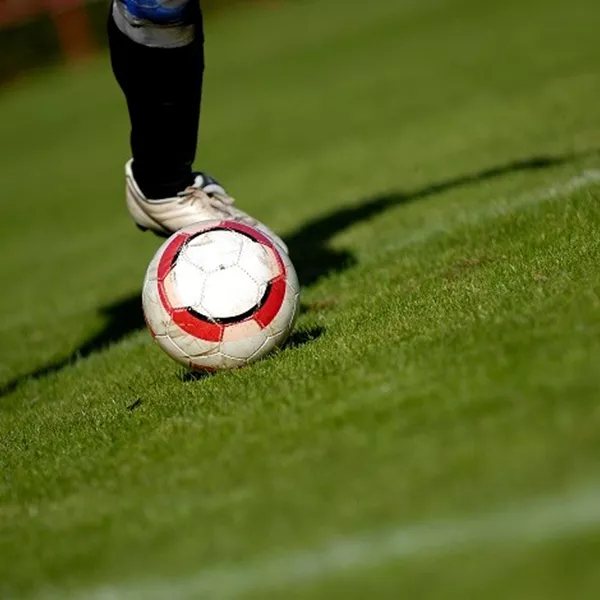 Bestsand Sports Turf