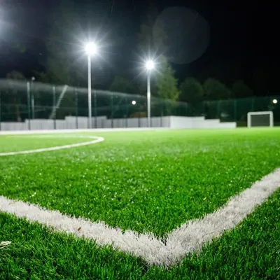 Sports Turf Arena