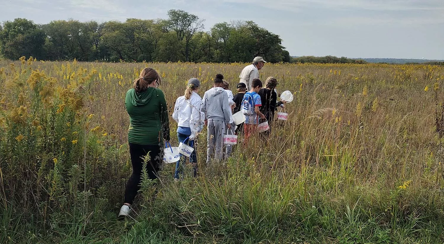 people walking in field