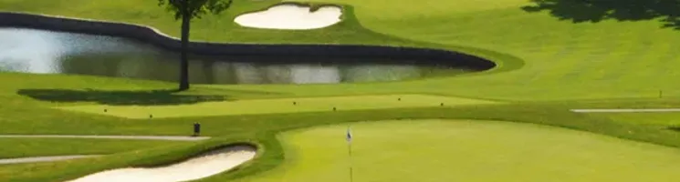 St Clair golf course