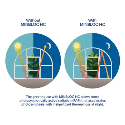 Pair of illustrations showing the effects with versus without MINBLOC HC product. Comparison represents the greenhouse with MINBLOC HC allows more photosynthetically active radiation (PAR) that accelerates photosynthesis with insignificant thermal loss at night.